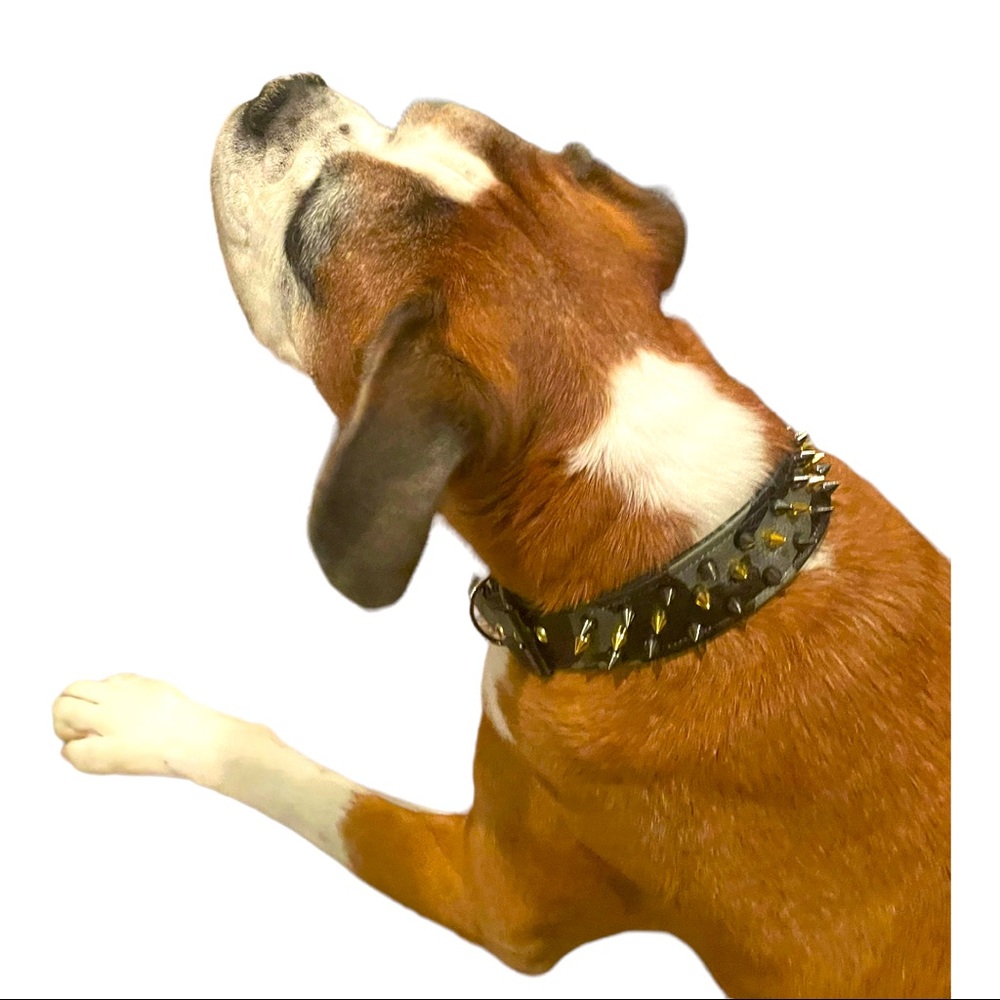 In Command collar